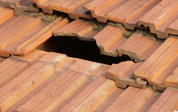 roof repair Navidale, Highland