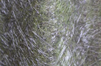 Navidale fibreglass roof work